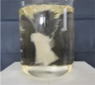 洗剤を添加して白布への汚れ付着を防ぐ攪拌テスト