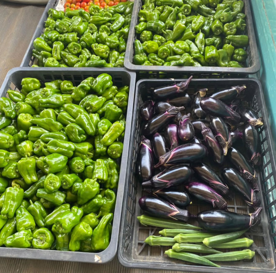 テーマ「紫翠苑」➁